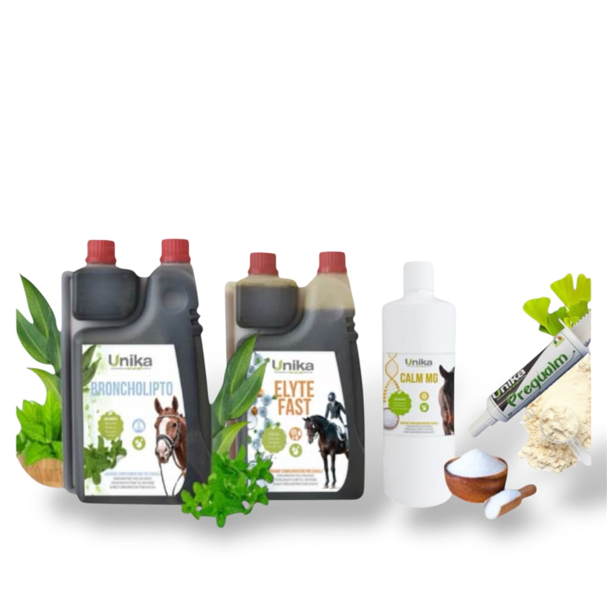 SUPPLEMENTS