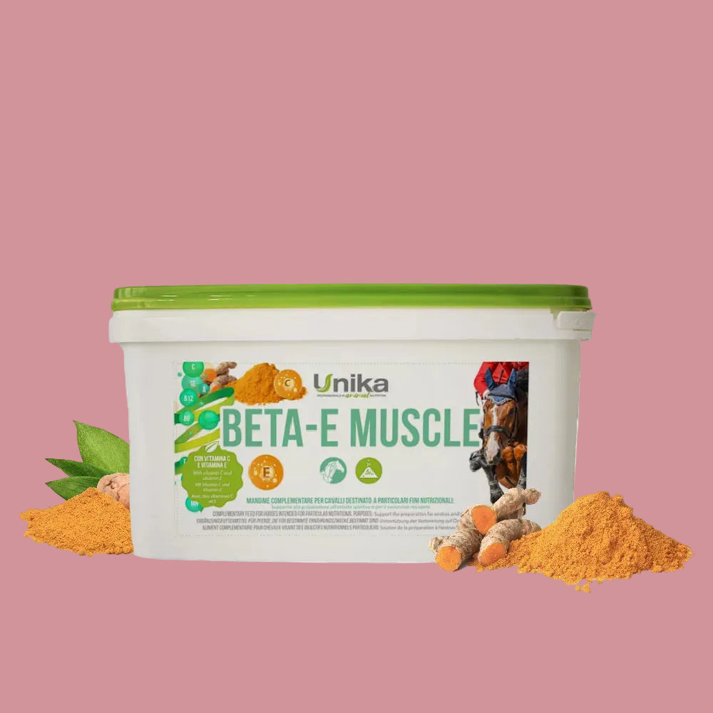 Beta-E Muscle