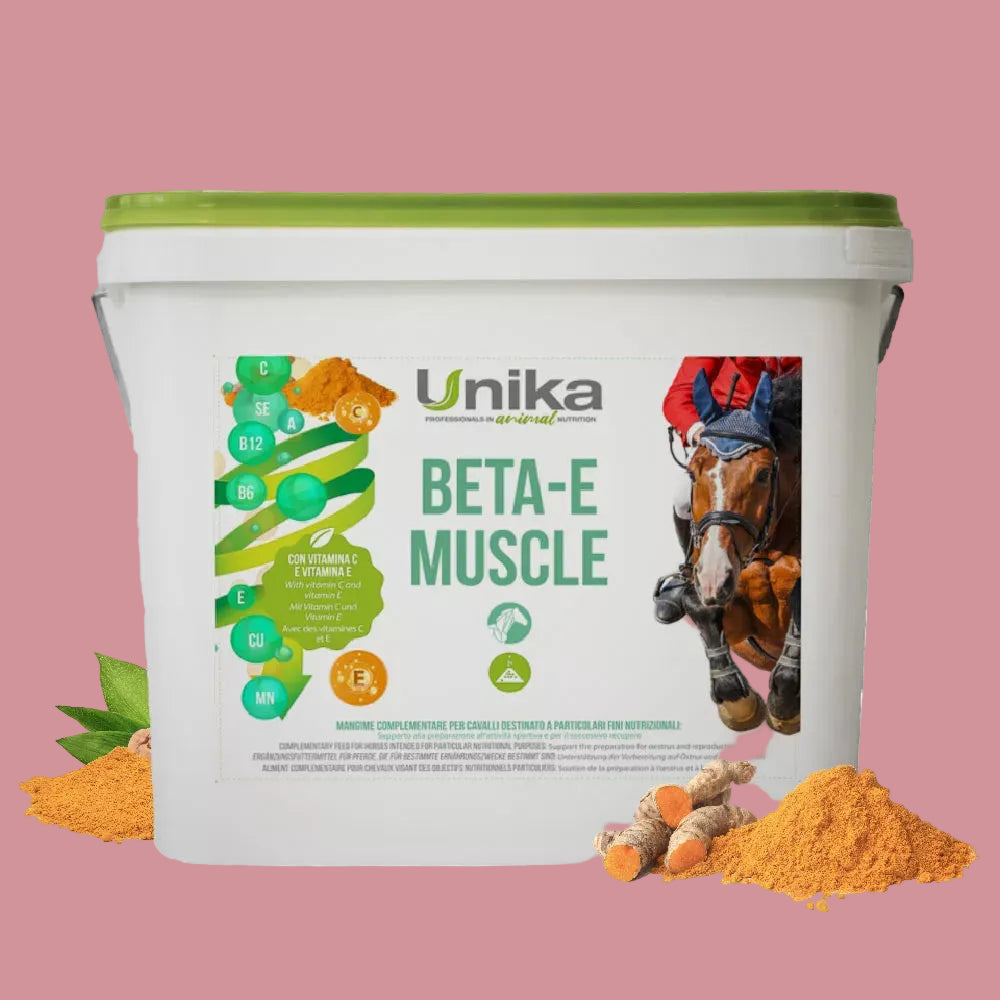 Beta-E Muscle