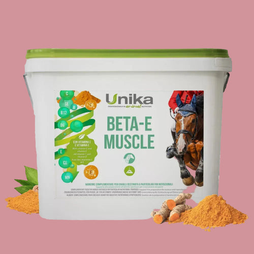 Beta-E Muscle
