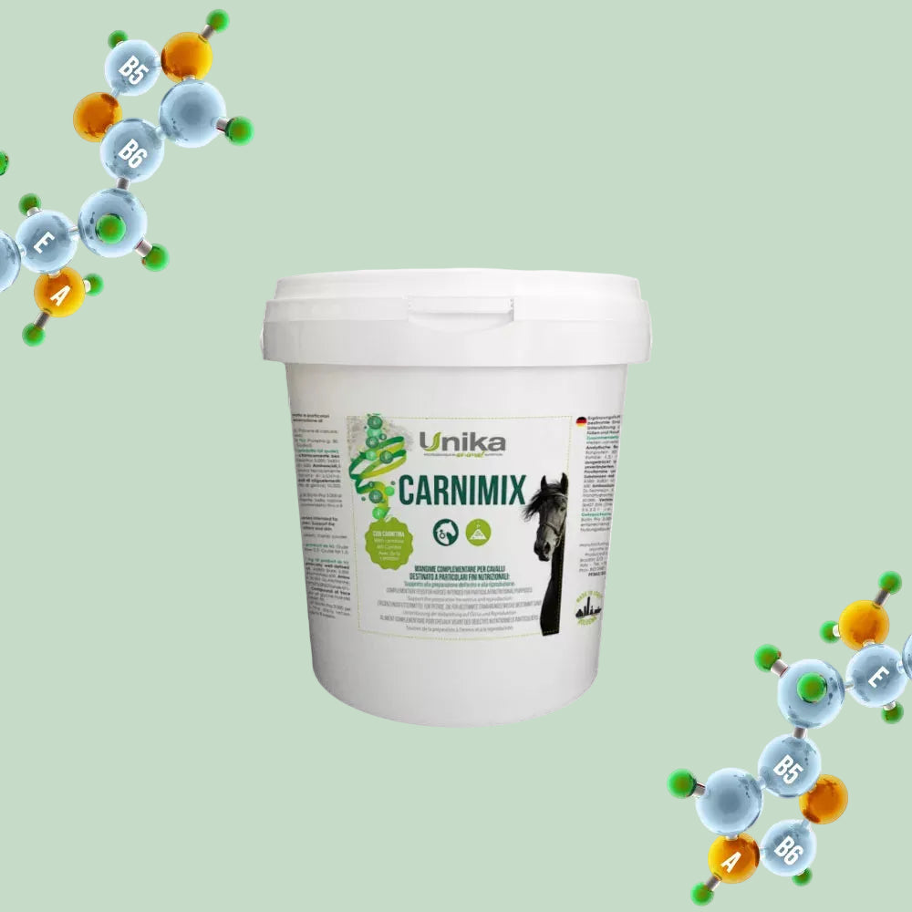 Carnimix - for stallion