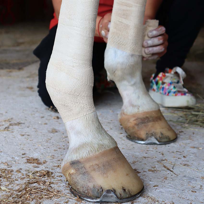 Linea Unika Comfort Wrap Plus - zinc oxide-based bandage