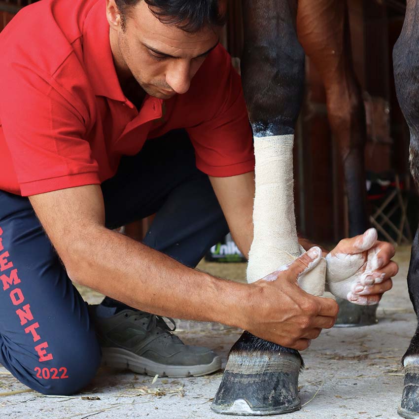 Linea Unika Comfort Wrap - zinc oxide-based bandage