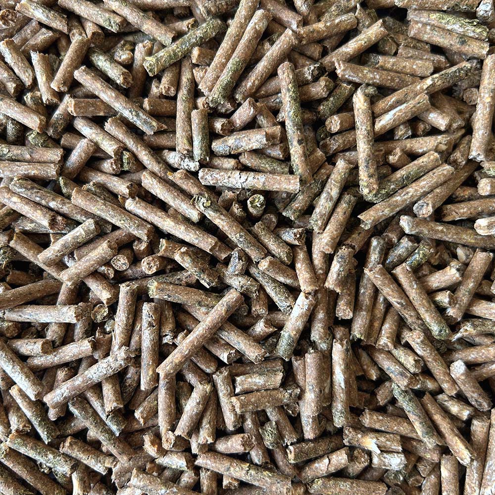 Unika Daily - feed for horses