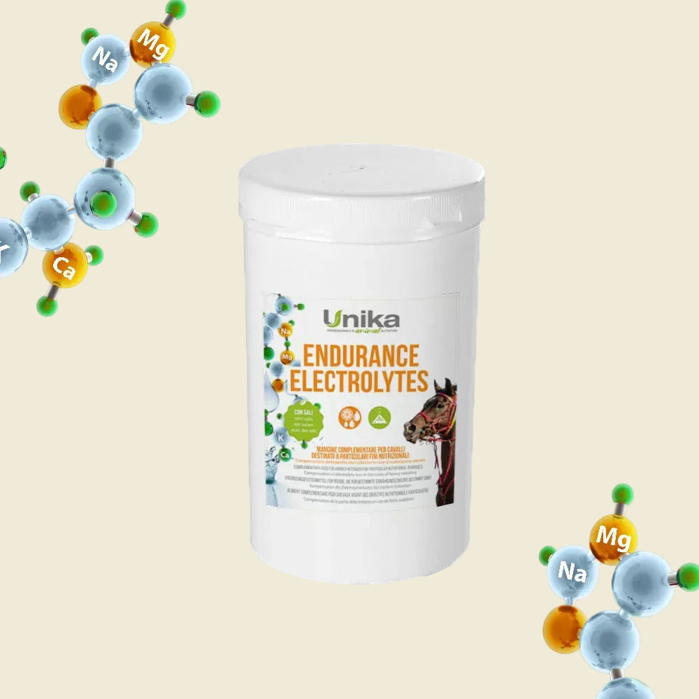 Endurance Electrolyte
