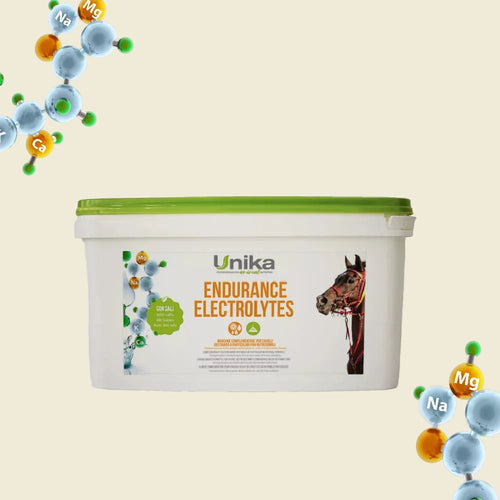 Izturības elektrolīts