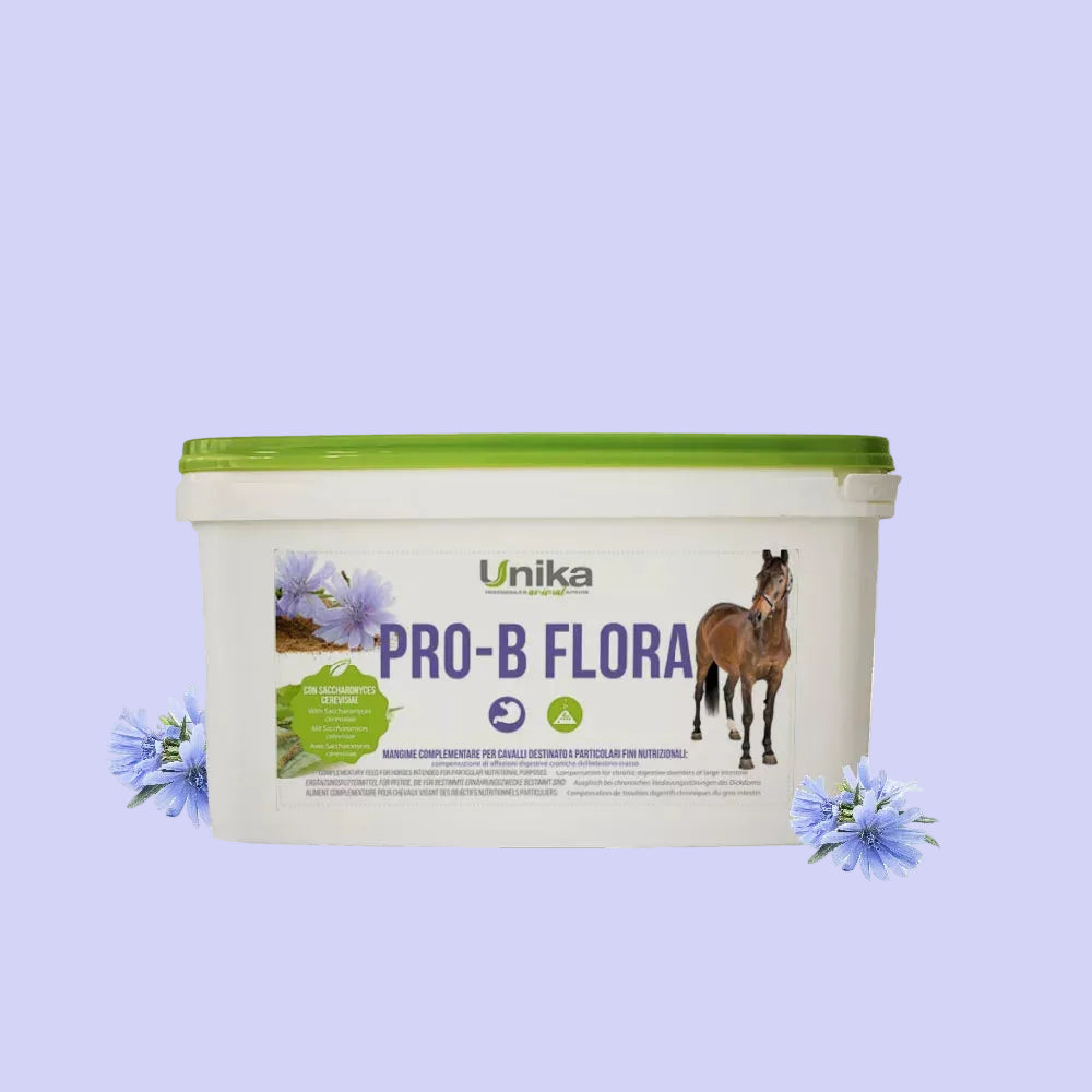 Pro-B Flora