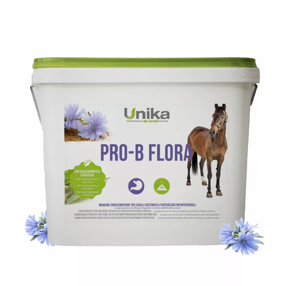 Pro-B Flora
