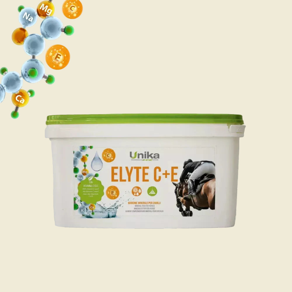 Elyte C + E