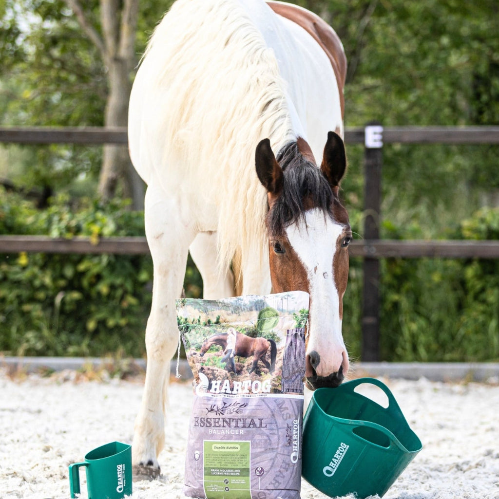 Hartog Essential - horse feed