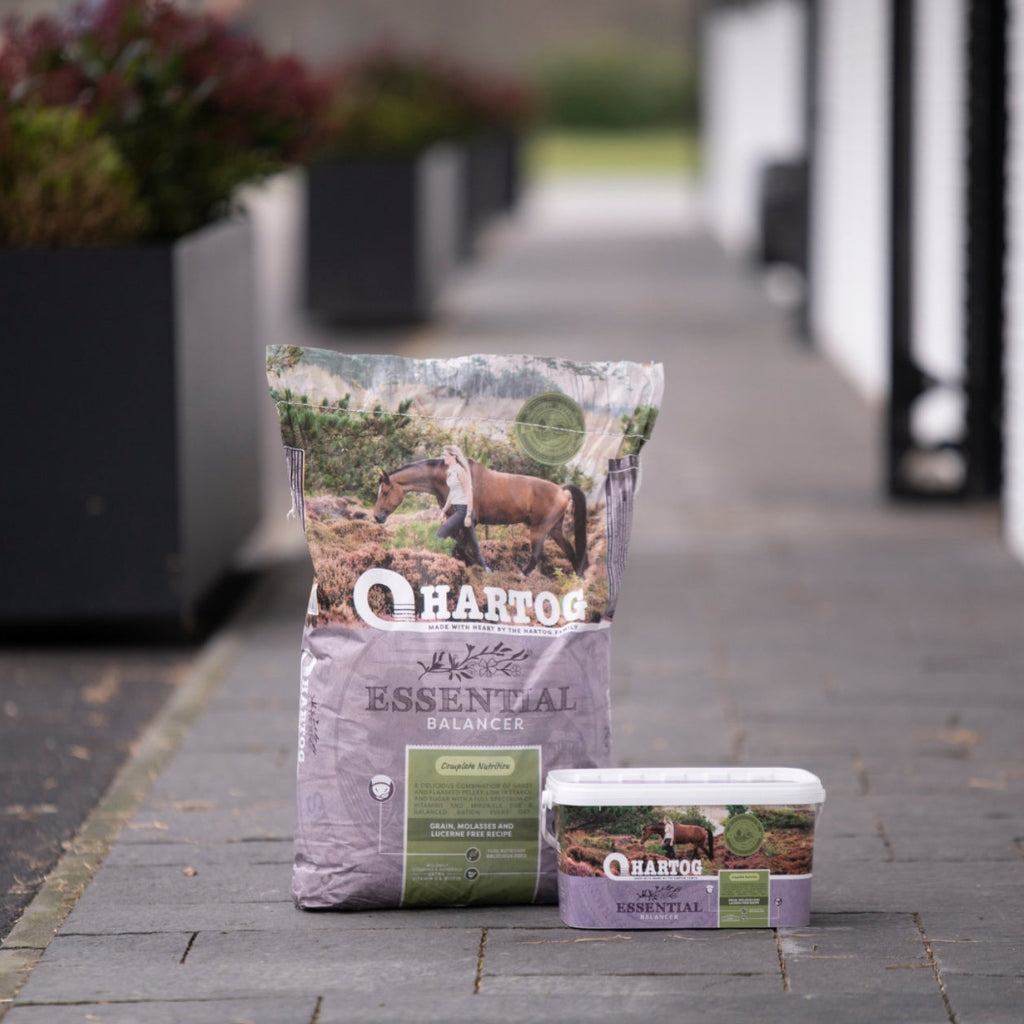 Hartog Essential - horse feed