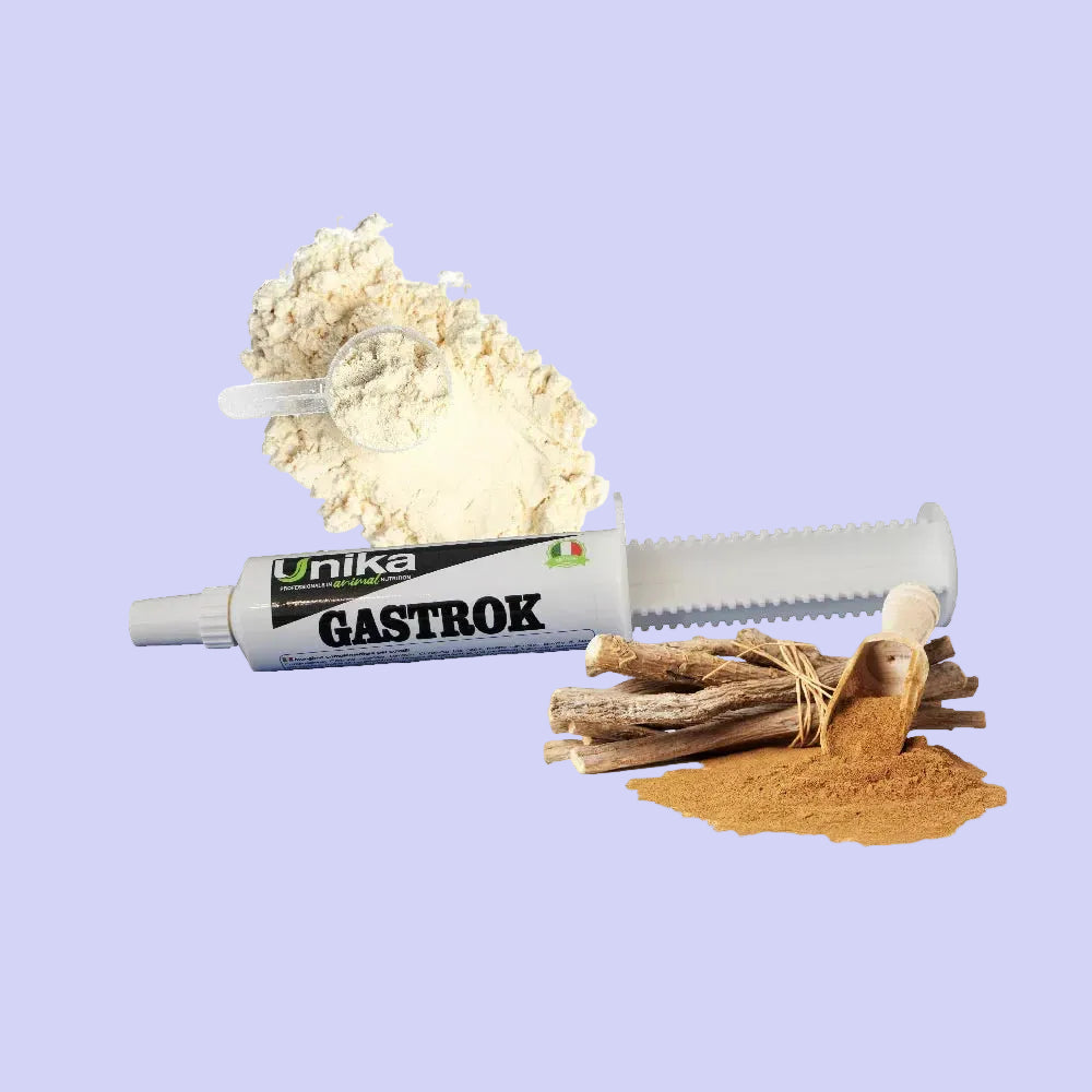 Gastrok