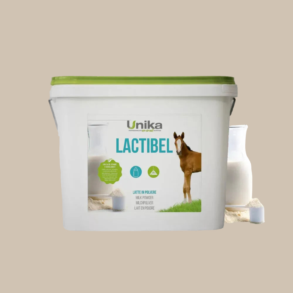 Unika Lactibel - milk powder for foals