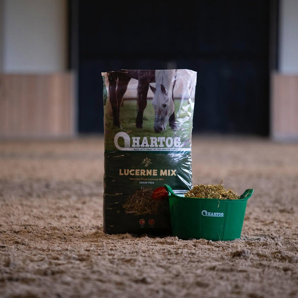 Hartog Lucerne Mix - horse feed