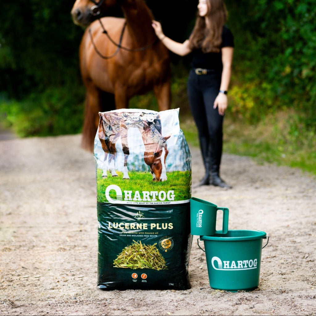 Hartog Lucerne Plus - horse feed