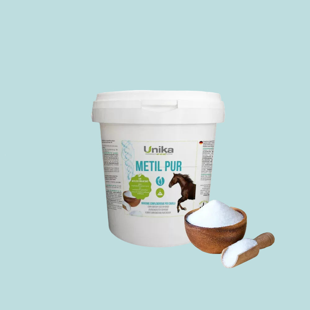 Metil-Pur
