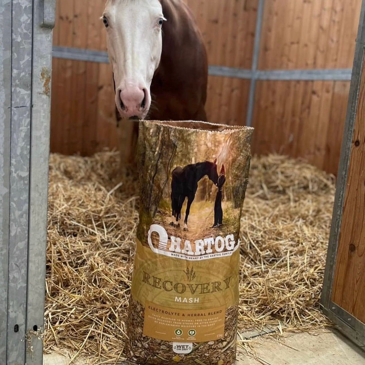 Hartog Recovery - horse feed