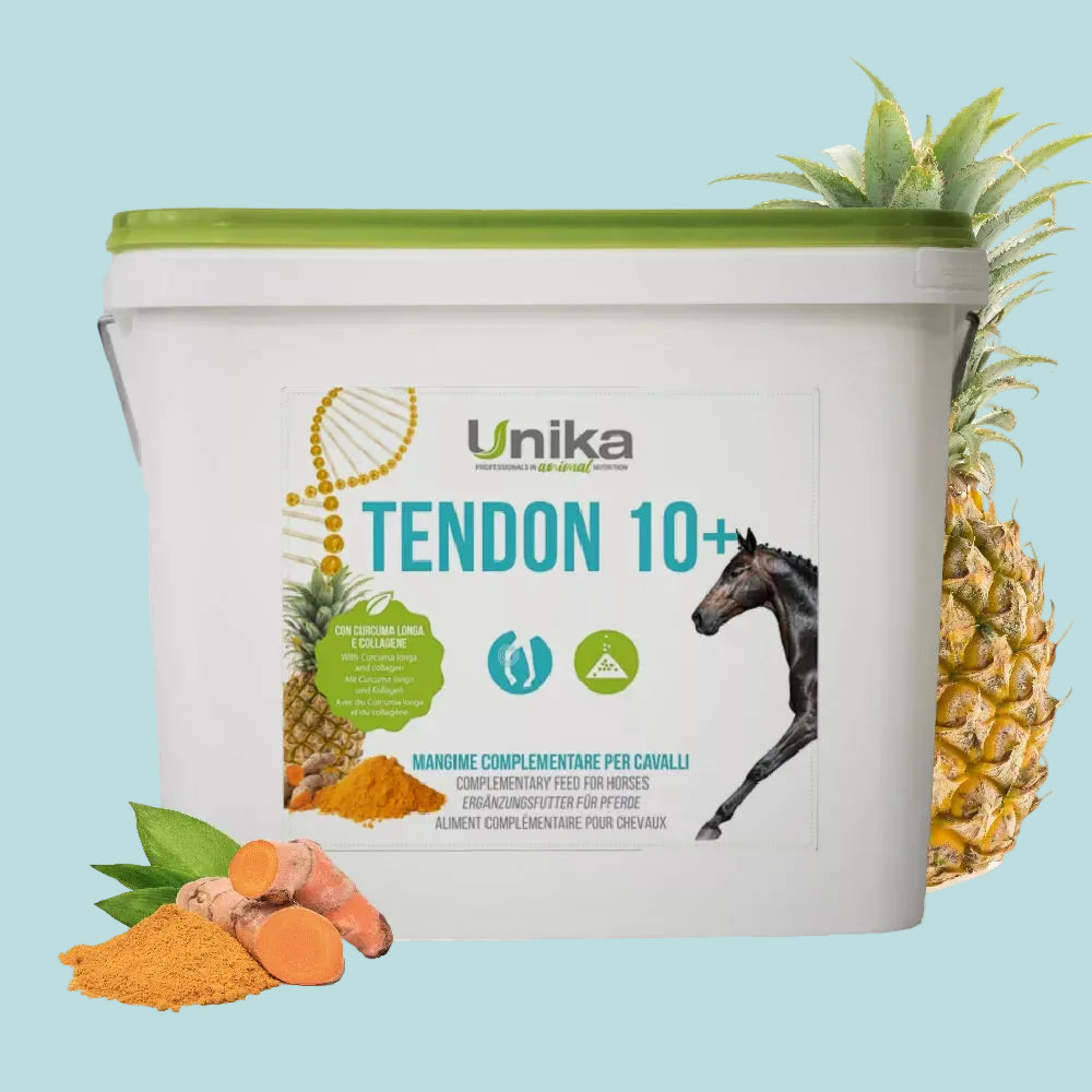 Tendon 10+