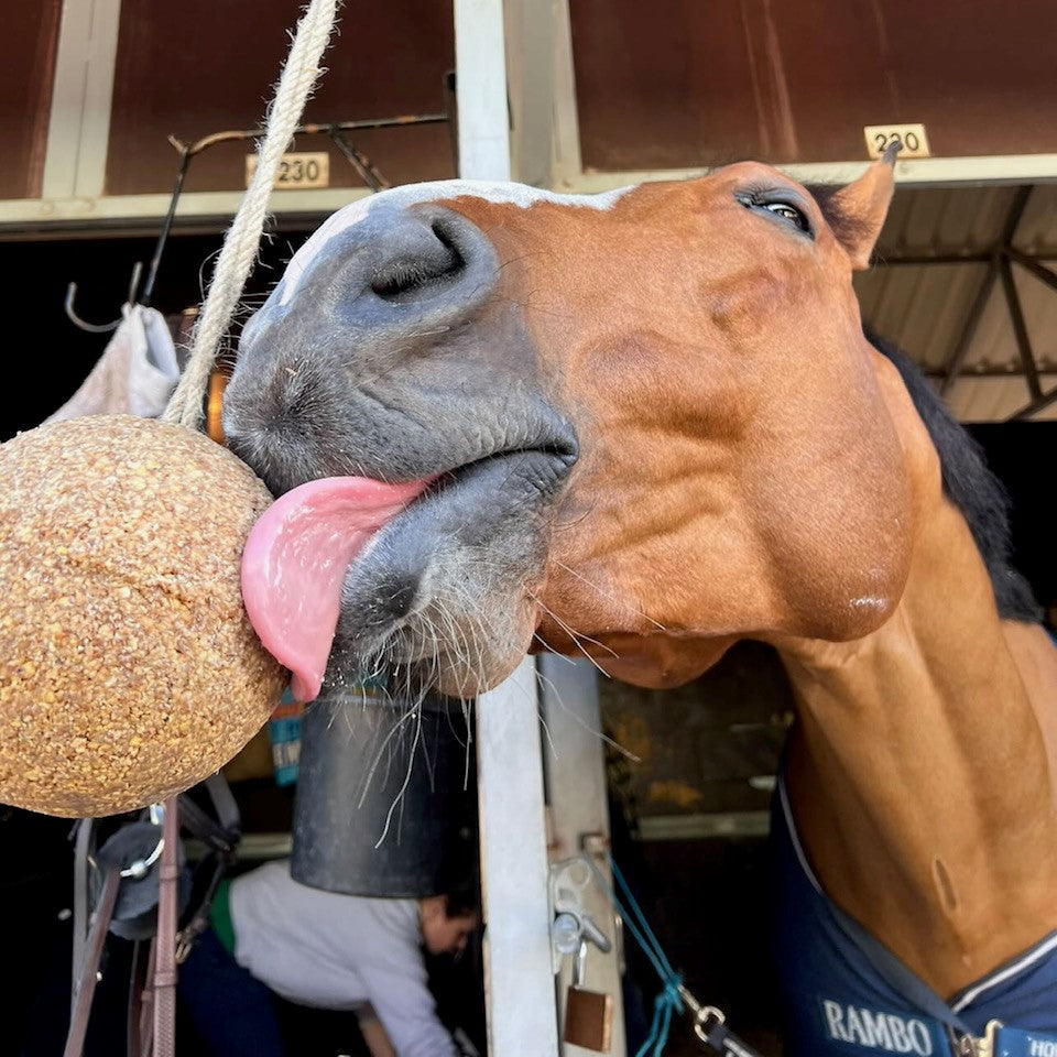 Unika Balls Elyte - Treat for horses
