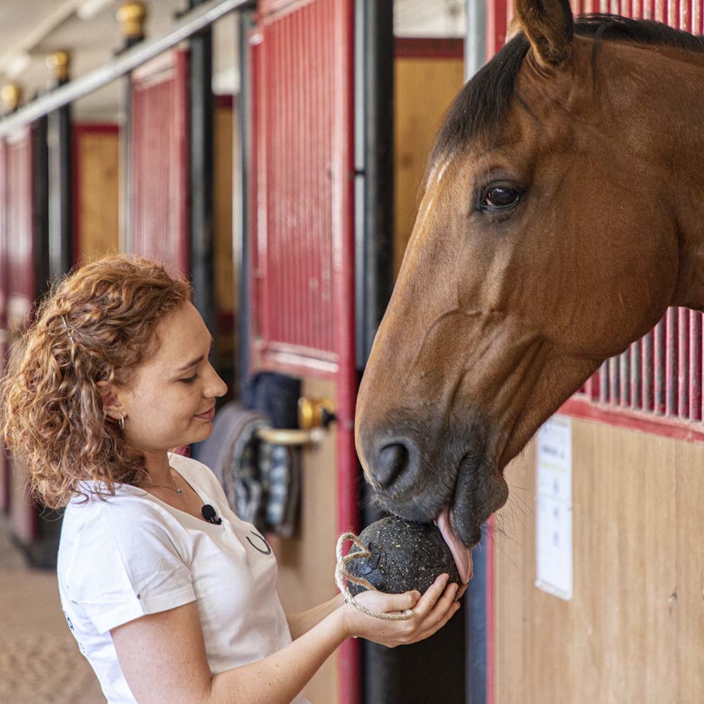 Unika Balls Gastro - Treat for horses